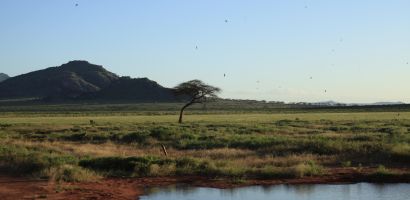 Természetes itató az East Tsavo Nemzeti Parkban