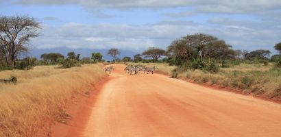 Zebrák az úton a Tsavo Nemzeti Parkban