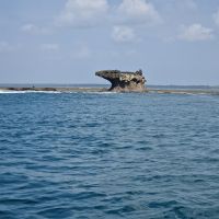 Kisite-Mpunguti Tengeri Nemzeti park Kisite-Mpunguti Tengeri Nemzeti park
